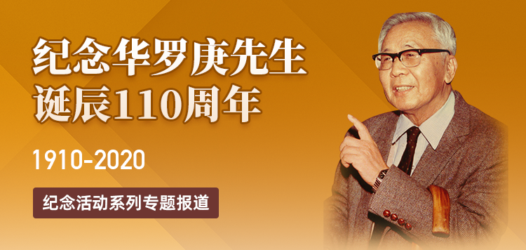 纪念华罗庚先生诞辰110周年